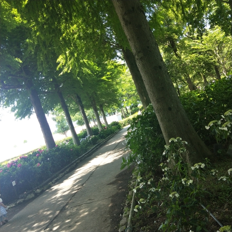 f:id:ouo_ouo123:20200623220756j:plain