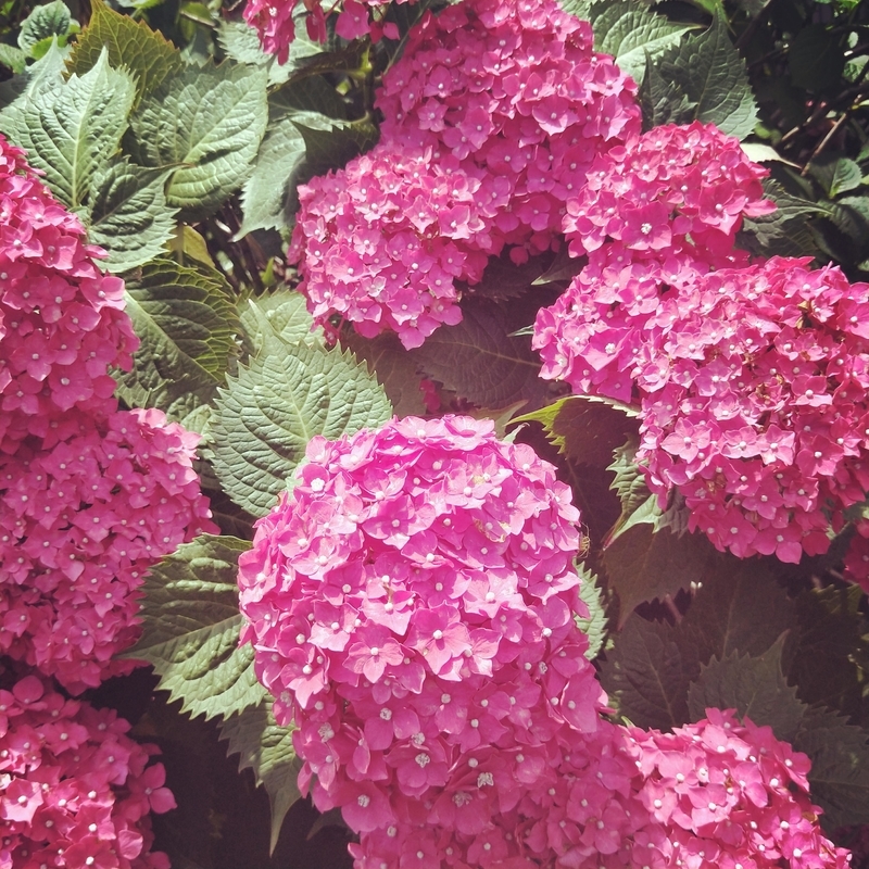 f:id:ouo_ouo123:20200623220840j:plain