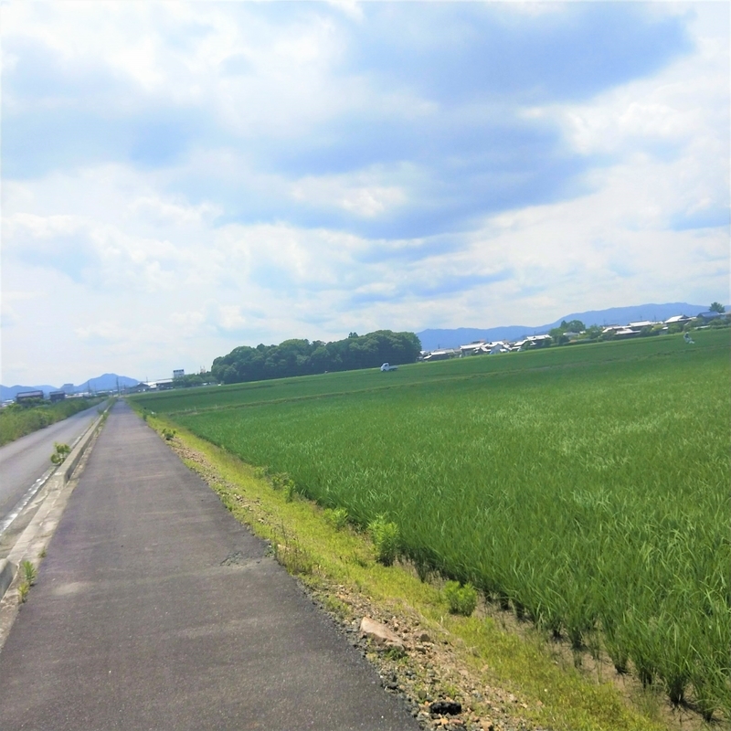 f:id:ouo_ouo123:20200623220912j:plain