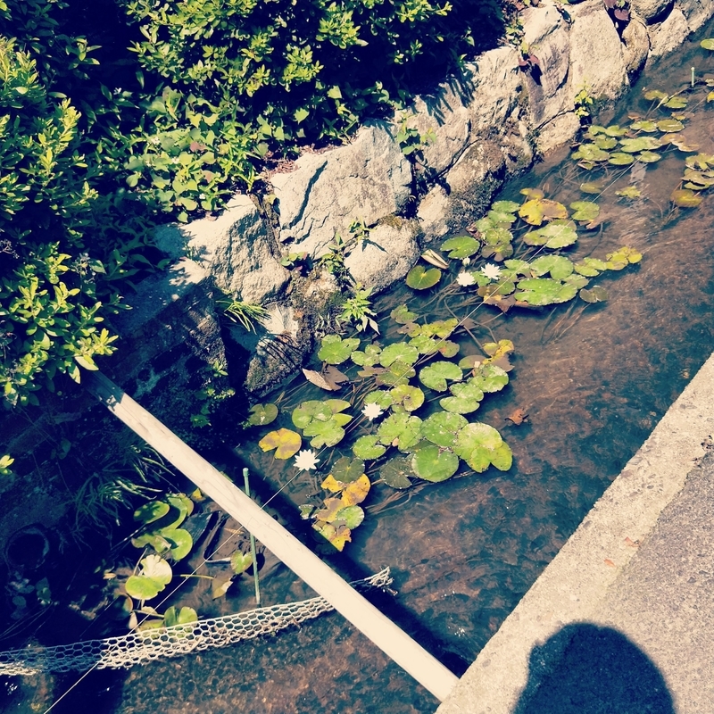 f:id:ouo_ouo123:20200623221043j:plain