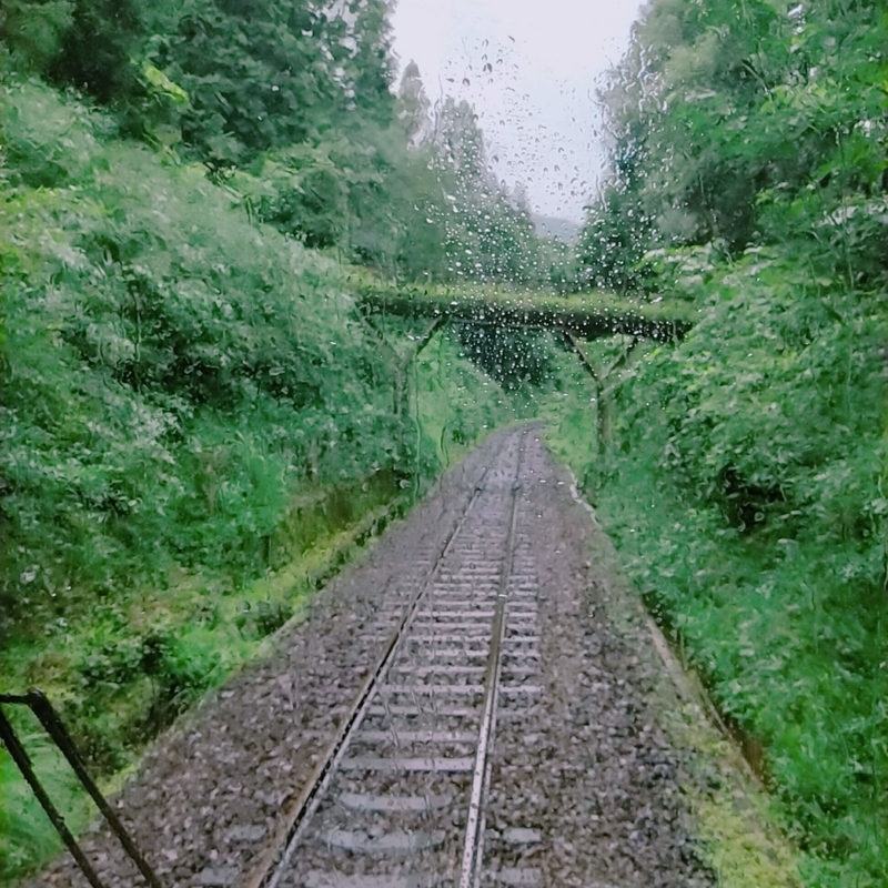 f:id:ouo_ouo123:20200715213848j:plain