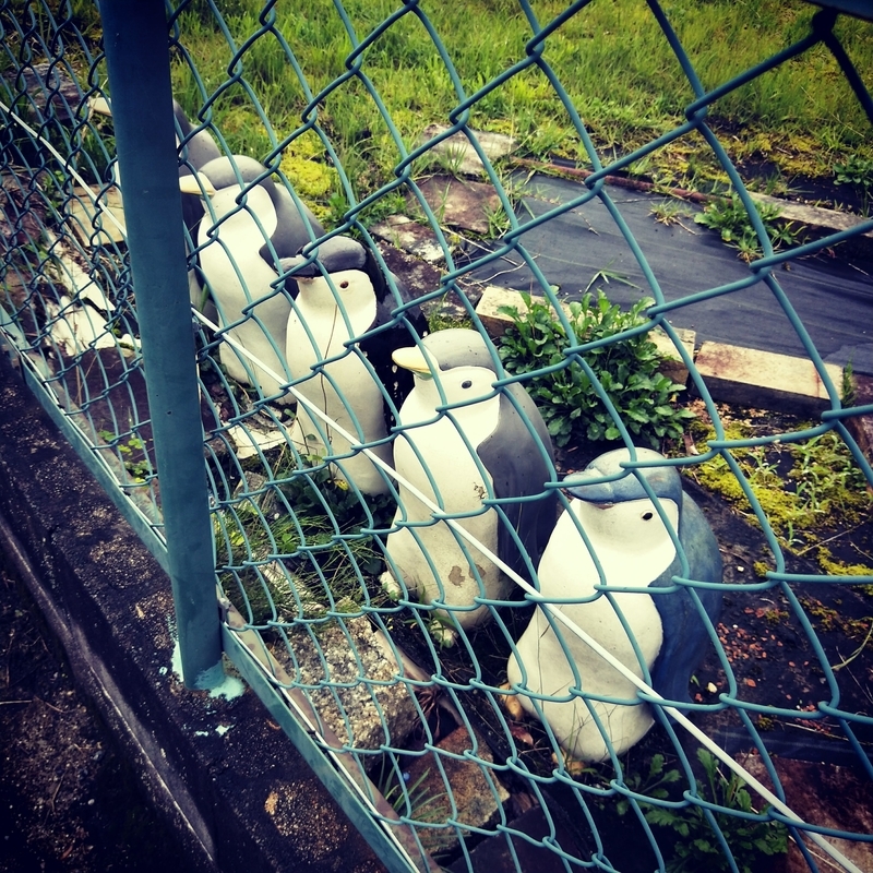 f:id:ouo_ouo123:20200730184633j:plain