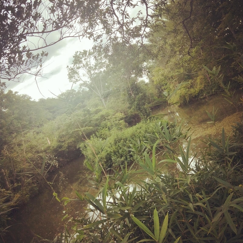 f:id:ouo_ouo123:20200810202914j:plain