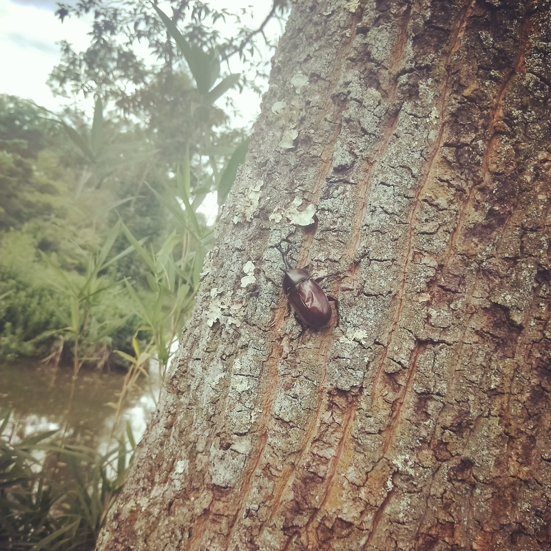 f:id:ouo_ouo123:20200810202925j:plain