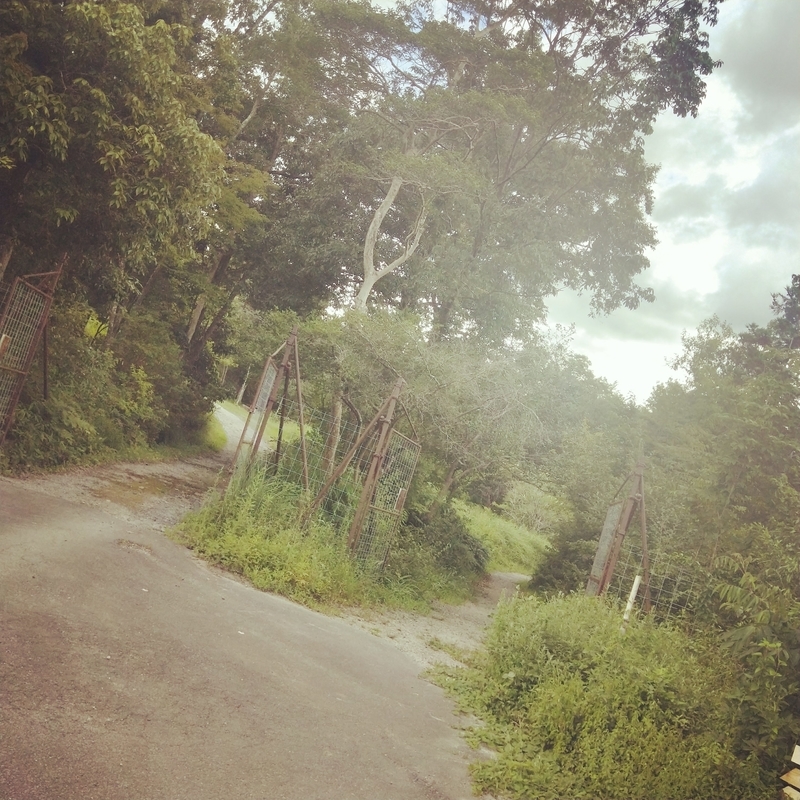 f:id:ouo_ouo123:20200810202935j:plain