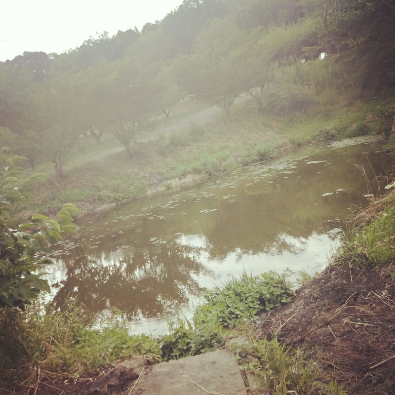 f:id:ouo_ouo123:20200810202944j:plain