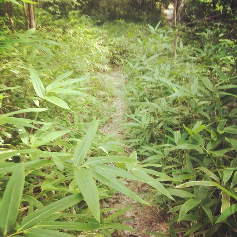 f:id:ouo_ouo123:20200810203100j:plain