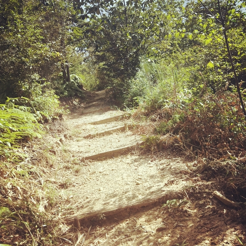 f:id:ouo_ouo123:20200810203234j:plain