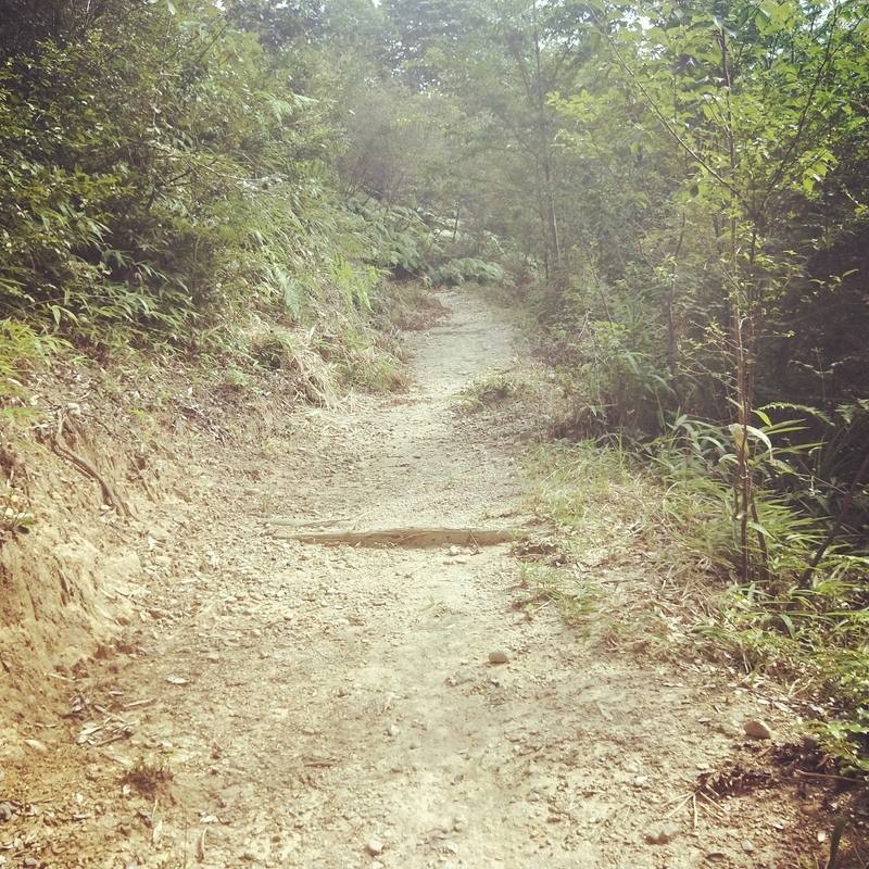 f:id:ouo_ouo123:20200810203245j:plain