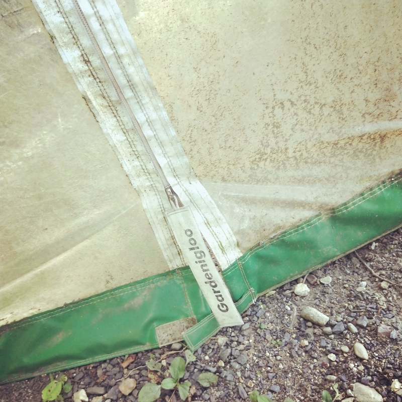 f:id:ouo_ouo123:20200810203320j:plain