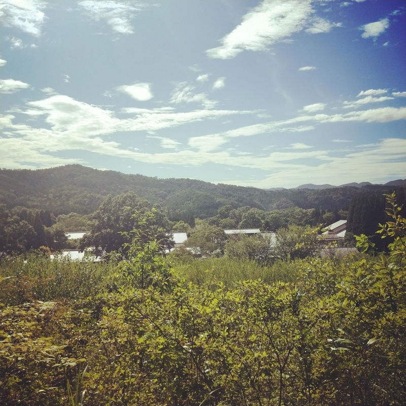 f:id:ouo_ouo123:20200810203434j:plain