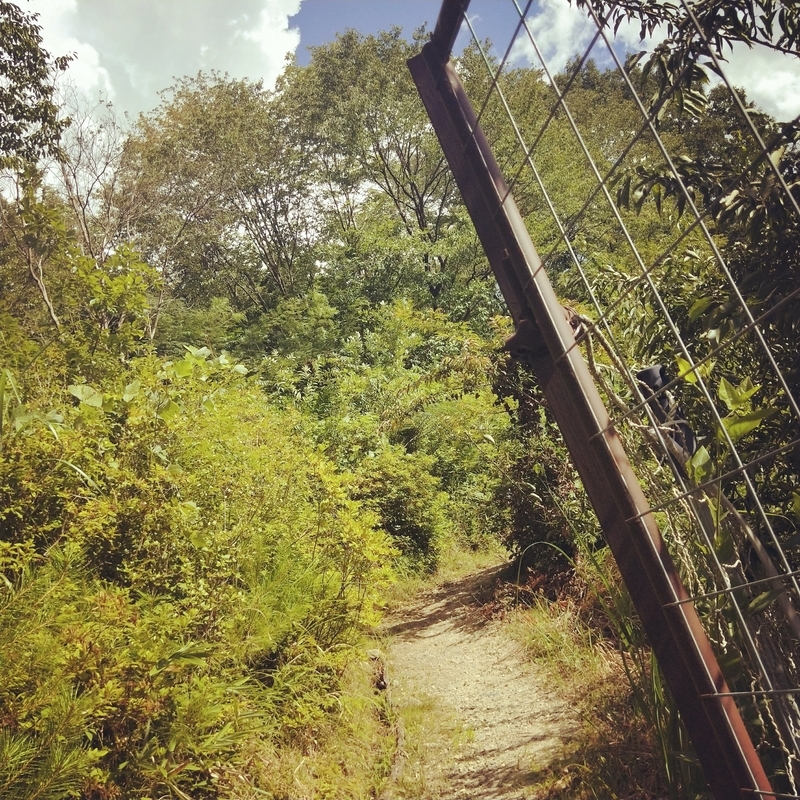 f:id:ouo_ouo123:20200810203500j:plain