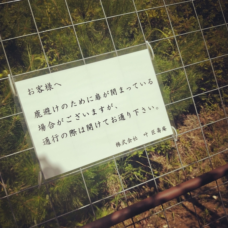 f:id:ouo_ouo123:20200810203512j:plain