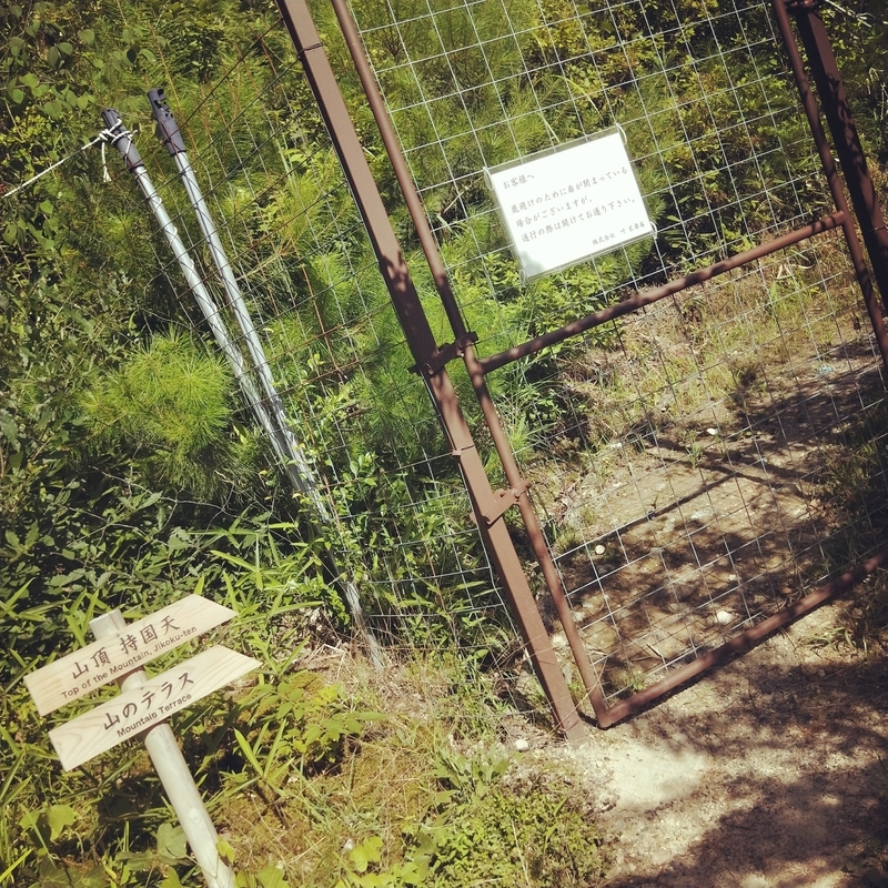 f:id:ouo_ouo123:20200810203523j:plain