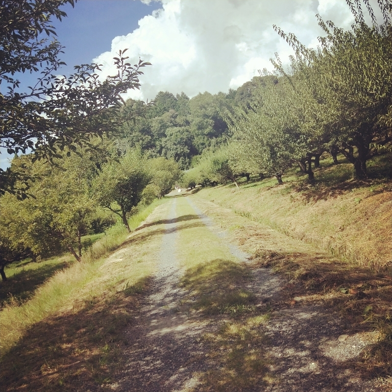 f:id:ouo_ouo123:20200810203651j:plain