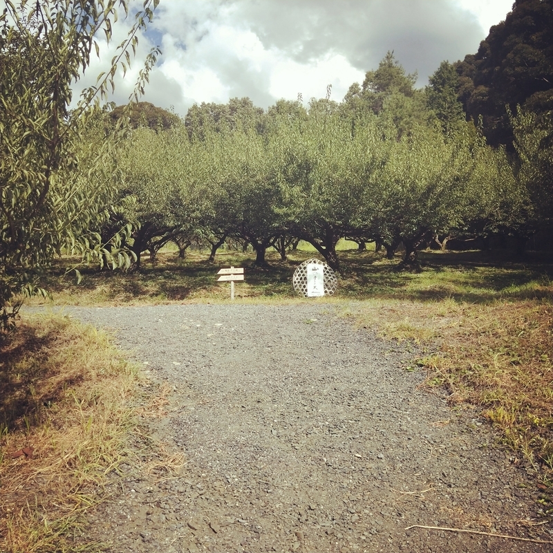 f:id:ouo_ouo123:20200810203714j:plain