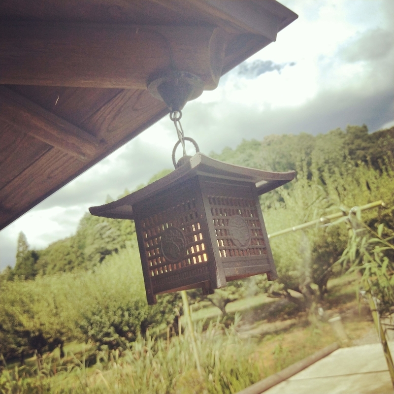 f:id:ouo_ouo123:20200810203750j:plain