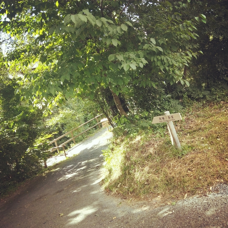 f:id:ouo_ouo123:20200810203822j:plain