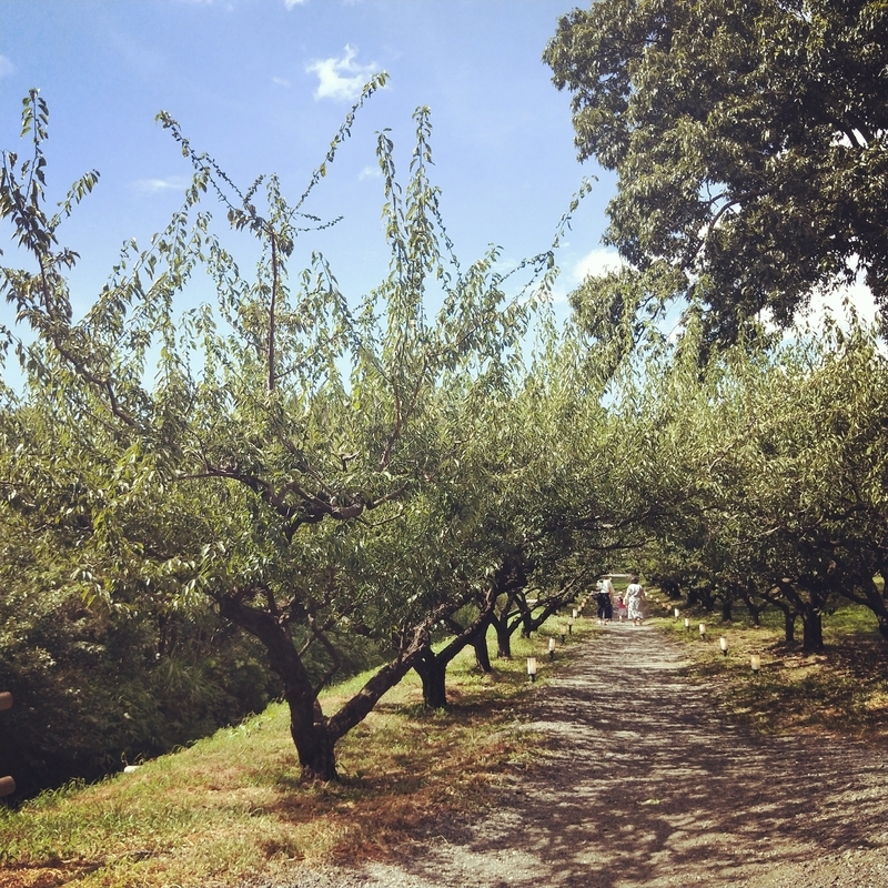 f:id:ouo_ouo123:20200810203834j:plain