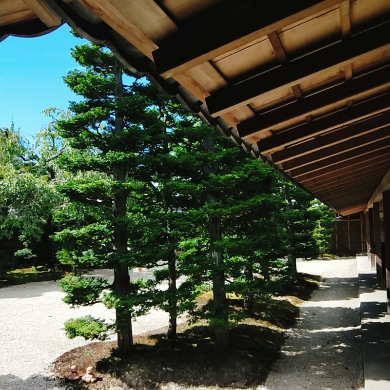 f:id:ouo_ouo123:20200810204023j:plain