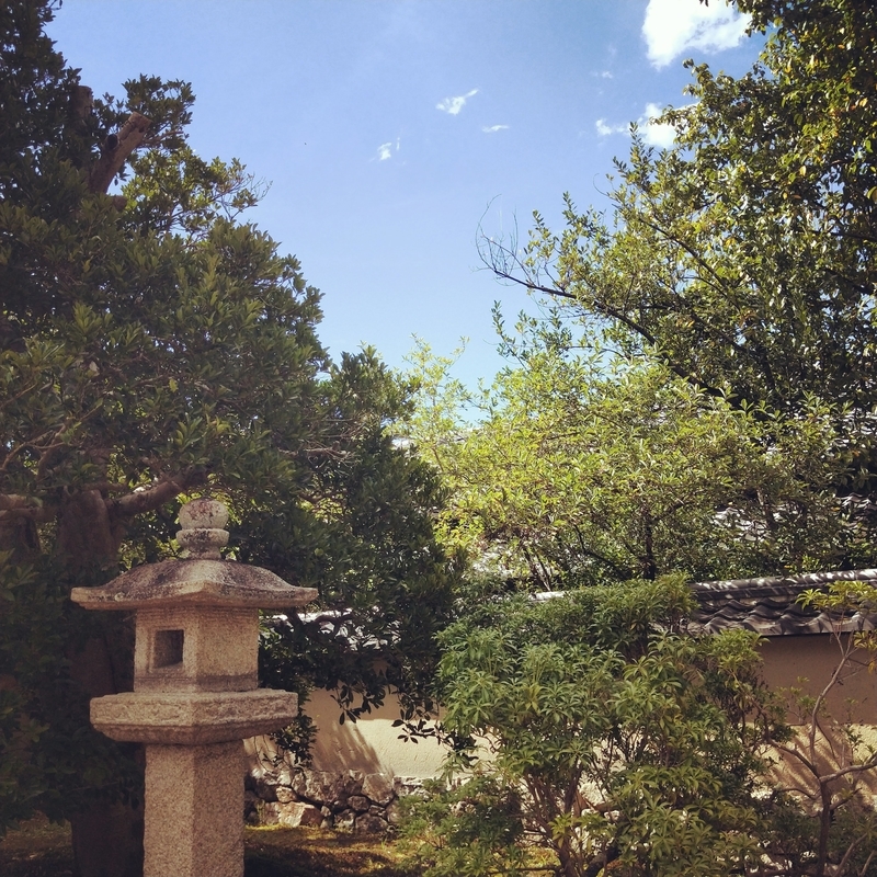 f:id:ouo_ouo123:20200810204058j:plain