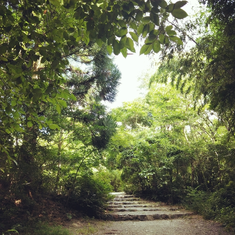 f:id:ouo_ouo123:20200810204248j:plain