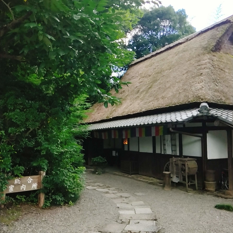 f:id:ouo_ouo123:20200810204551j:plain