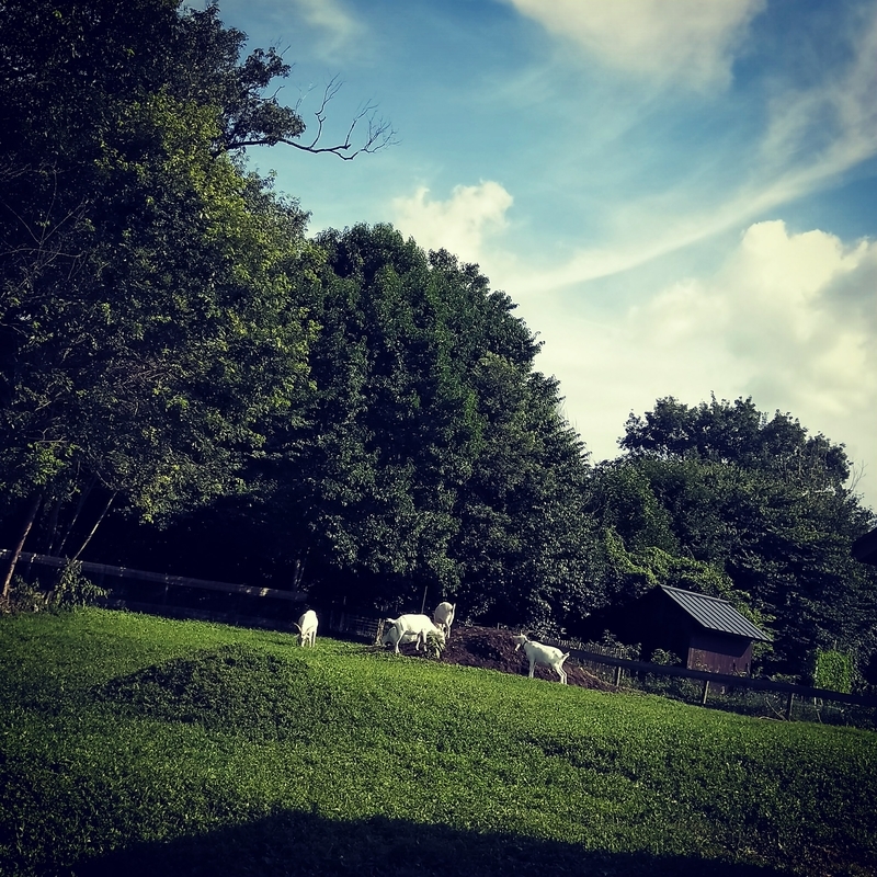 f:id:ouo_ouo123:20200810205118j:plain