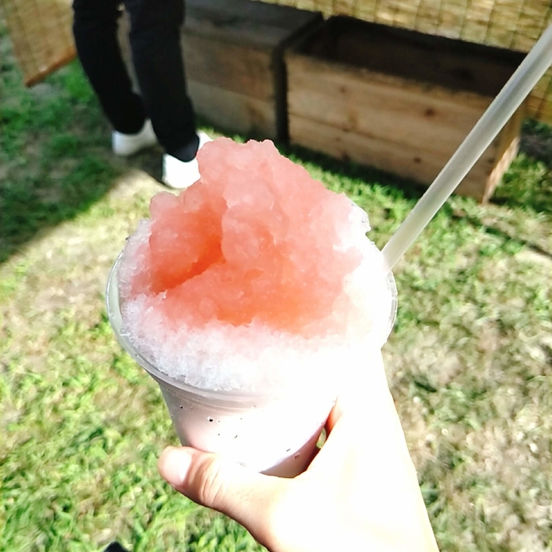 f:id:ouo_ouo123:20200810205206j:plain