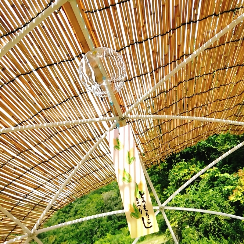 f:id:ouo_ouo123:20200810210534j:plain