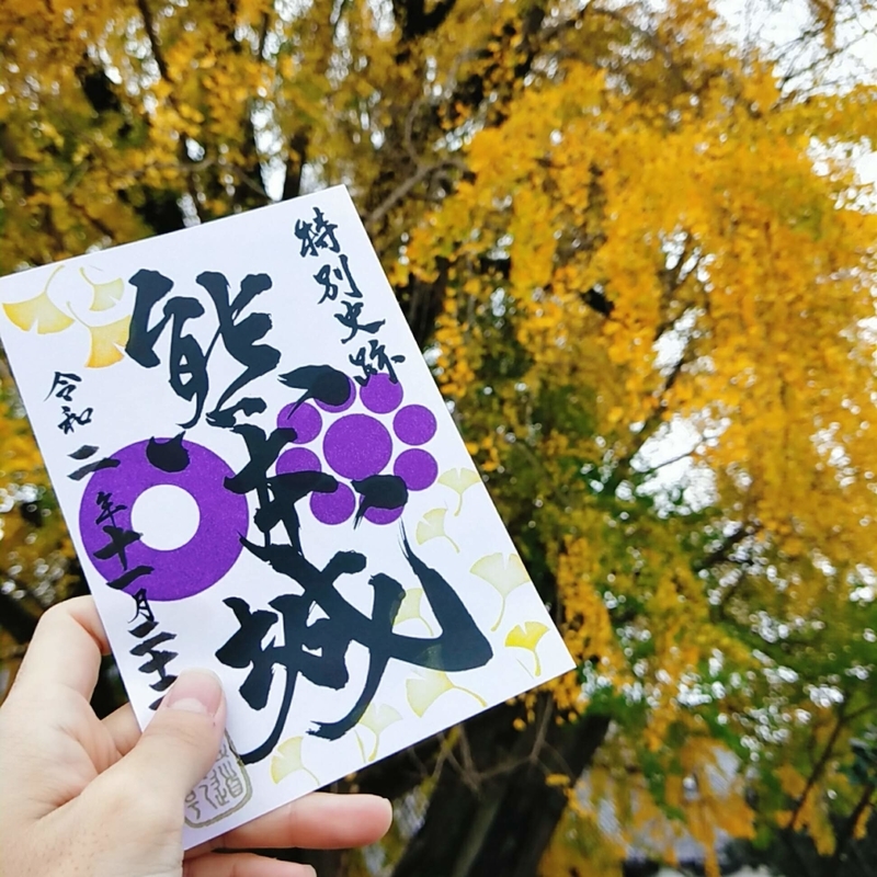 kumamoto-castle-gojoin 大イチョウを背景に撮った熊本城の季節限定の銀杏のデザインの御城印の写真