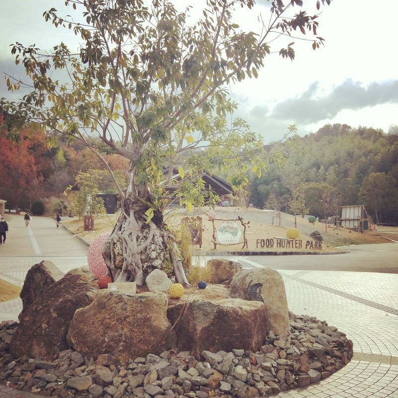 フードハンターパークのシンボルツリーであるアコウの木