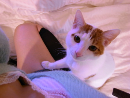 f:id:ourchild:20101114163804j:image f:id:ourchild:20101114163804j:image
