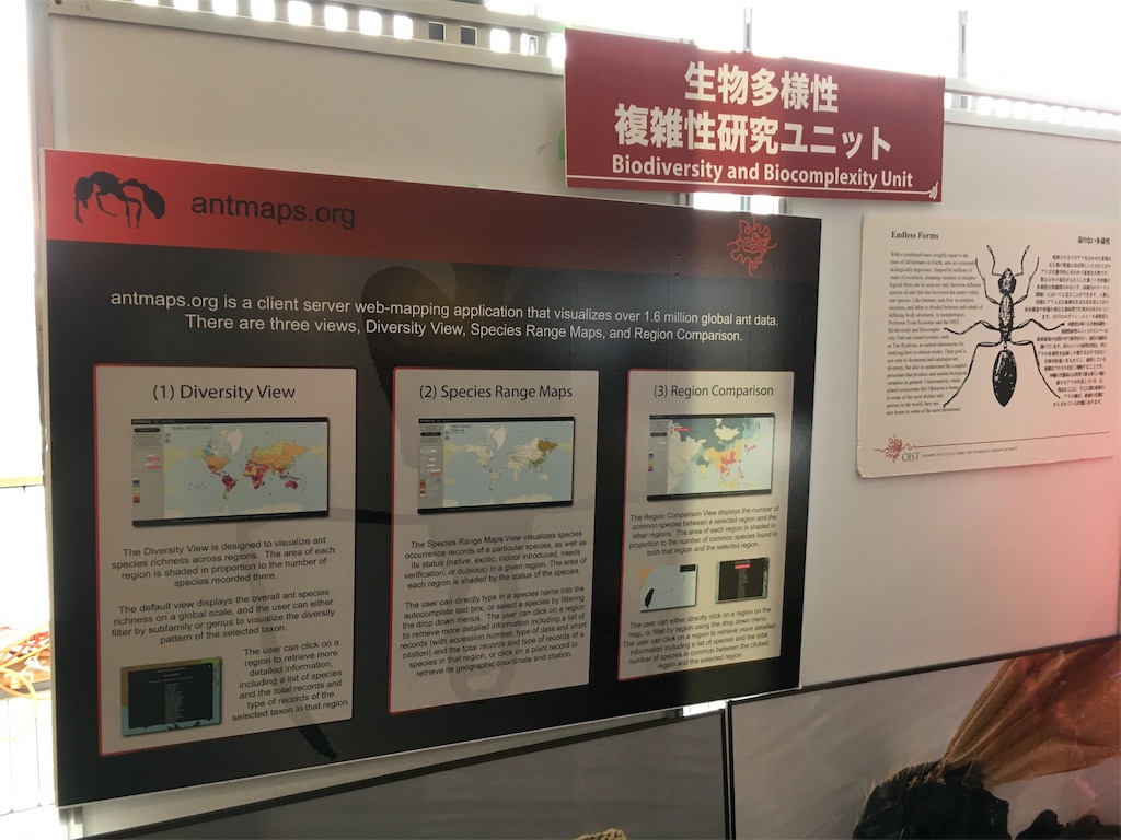 f:id:oushinjuui:20181117230324j:image f:id:oushinjuui:20181117230324j:image