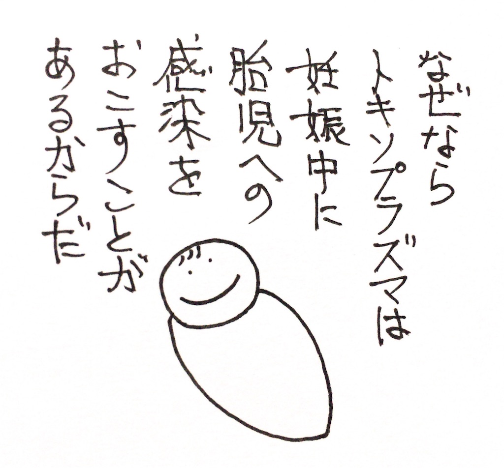 f:id:oushinjuui:20191117025251j:image f:id:oushinjuui:20191117025251j:image