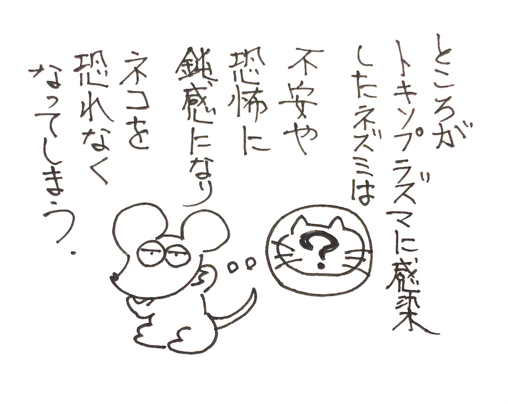 f:id:oushinjuui:20191117025254j:image f:id:oushinjuui:20191117025254j:image
