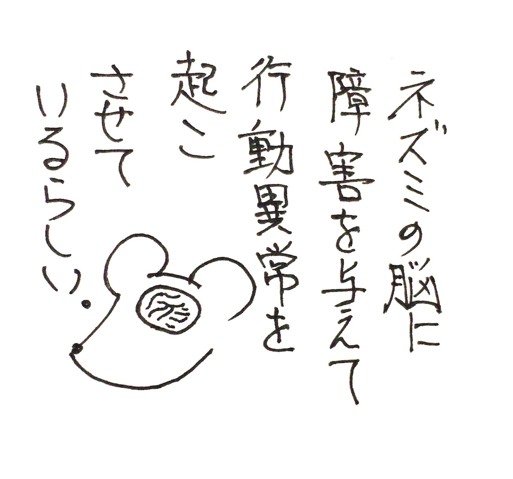 f:id:oushinjuui:20191117025308j:image f:id:oushinjuui:20191117025308j:image