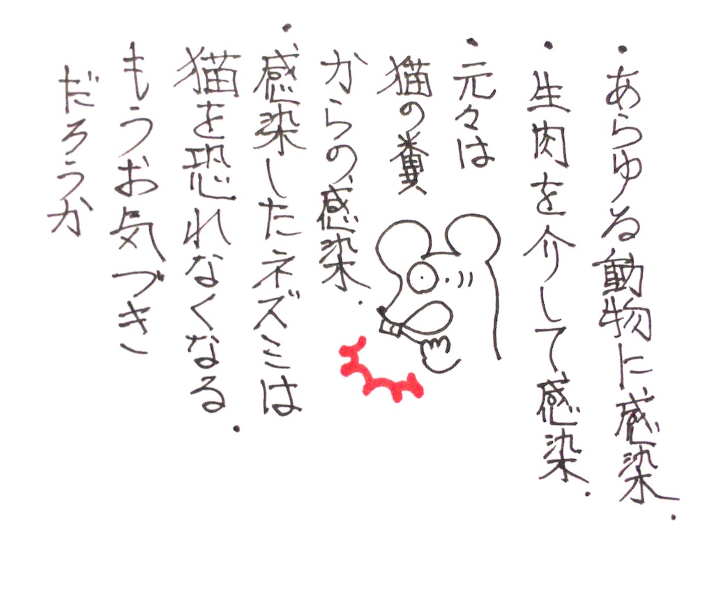 f:id:oushinjuui:20191117025318j:image f:id:oushinjuui:20191117025318j:image