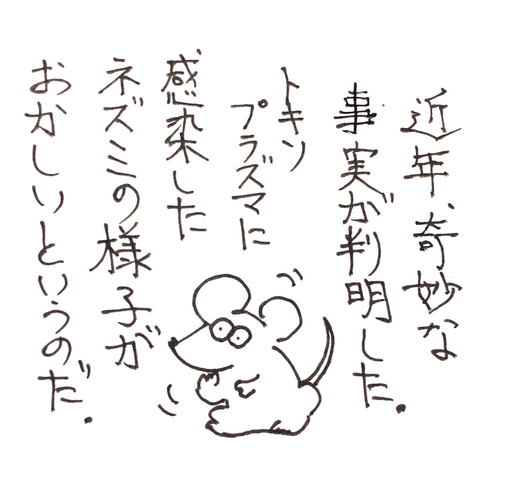 f:id:oushinjuui:20191117025325j:image f:id:oushinjuui:20191117025325j:image