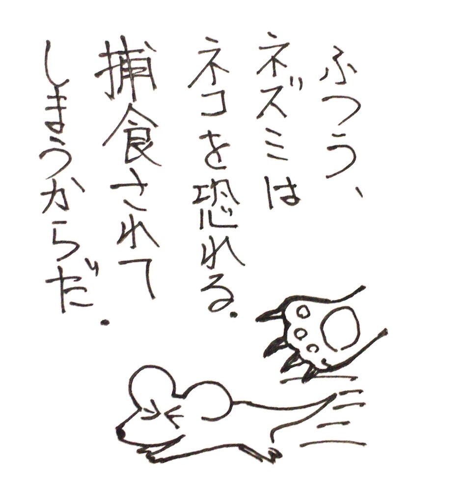 f:id:oushinjuui:20191117025328j:image f:id:oushinjuui:20191117025328j:image