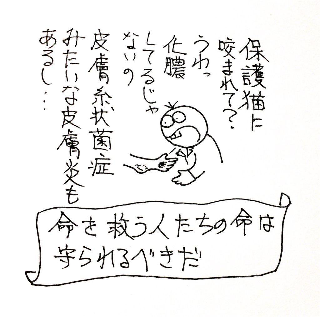 f:id:oushinjuui:20200419020203j:image