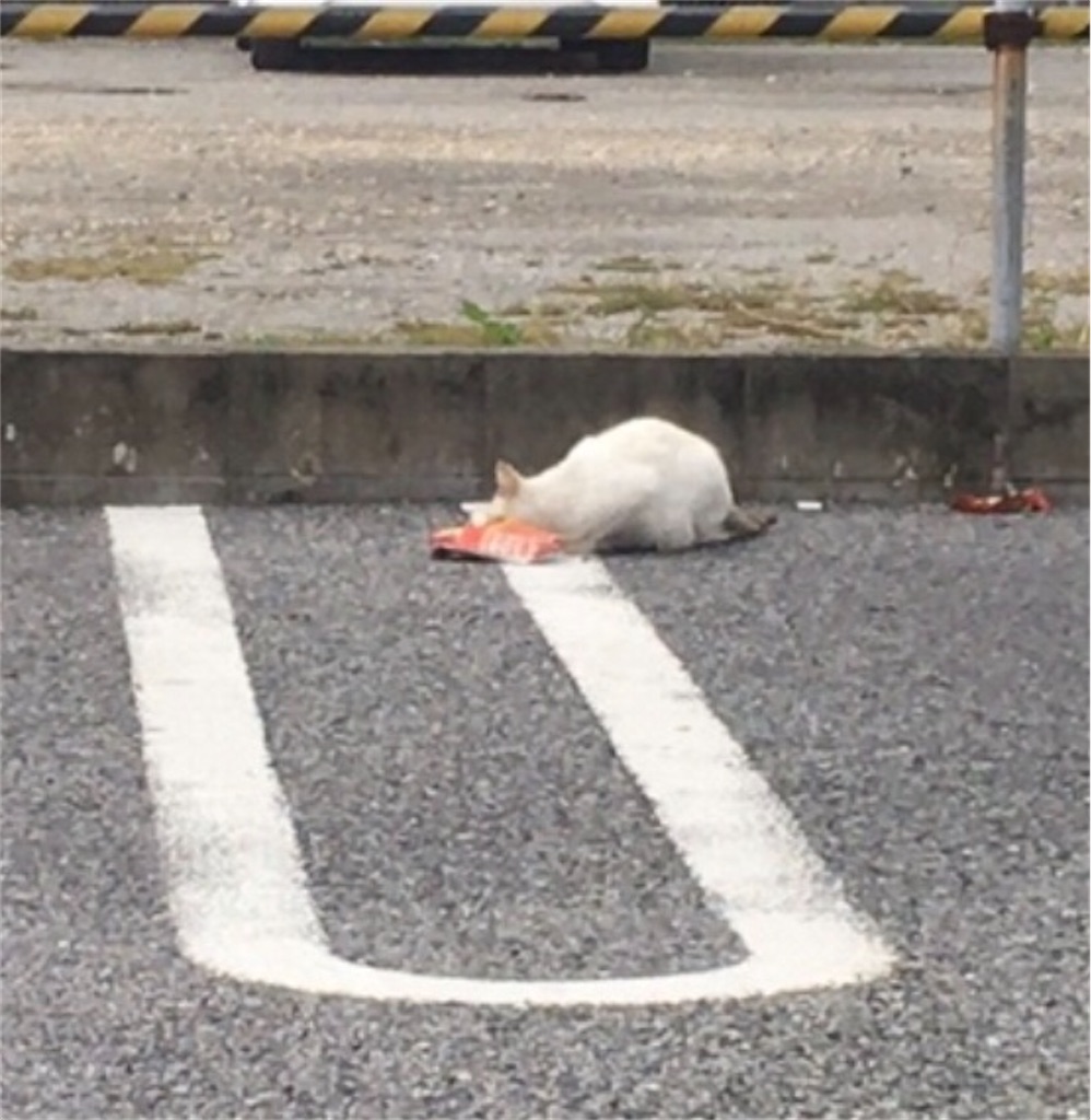 f:id:oushinjuui:20200419020351j:image