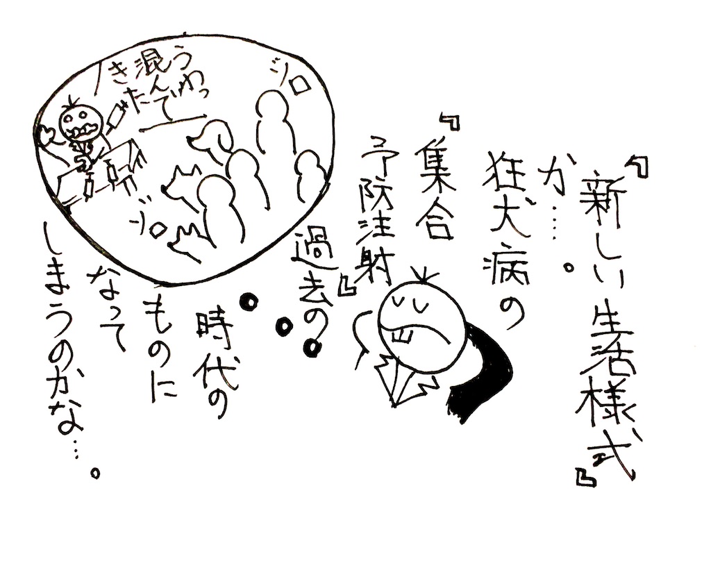 f:id:oushinjuui:20200523015754j:image