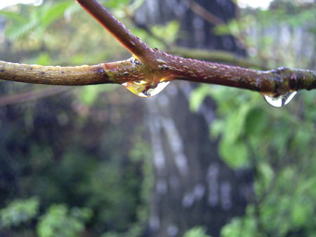 f:id:ousia:20060403060035j:image f:id:ousia:20060403060035j:image