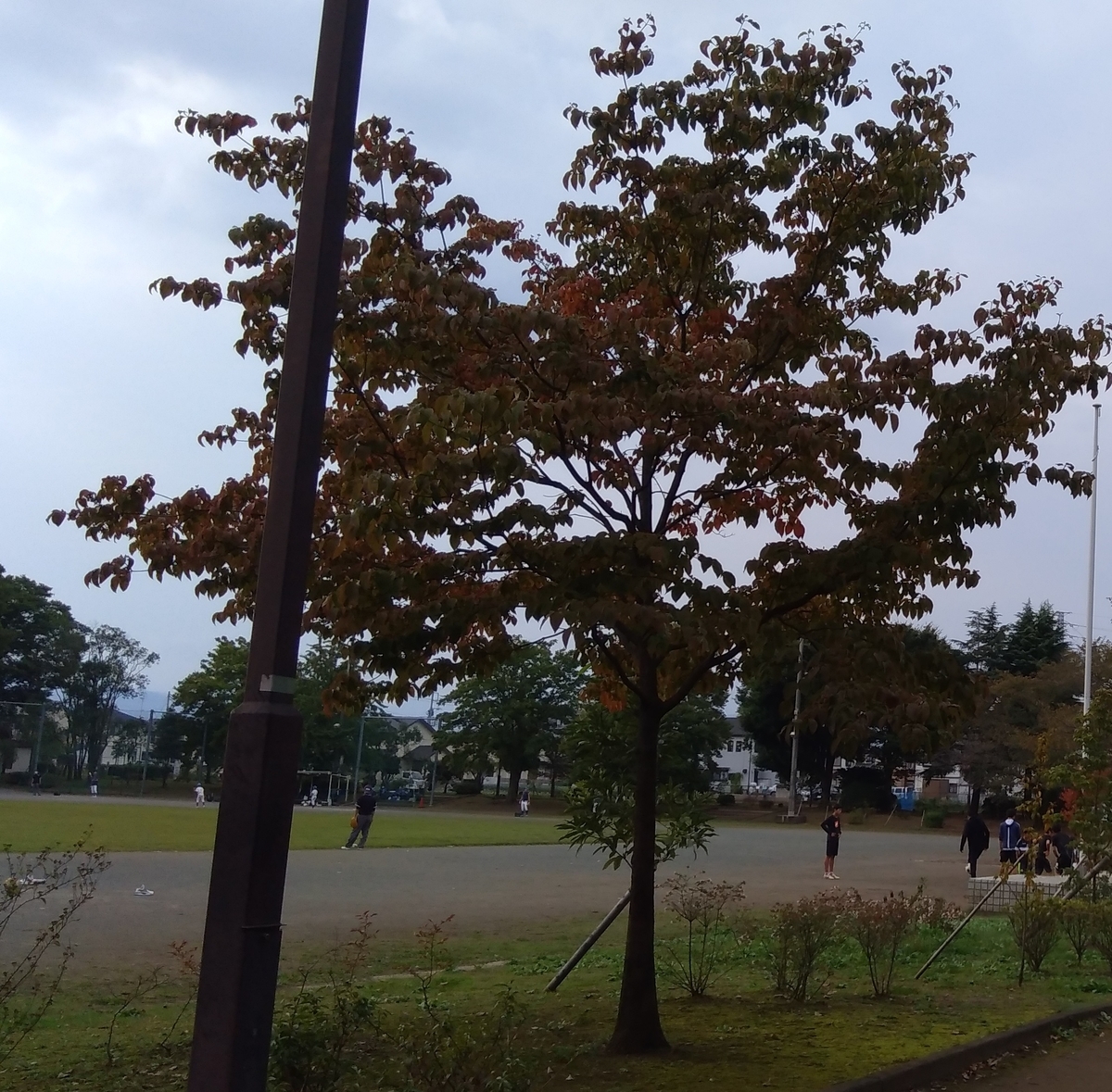 f:id:outblue69:20201003164919j:plain f:id:outblue69:20201003164919j:plain