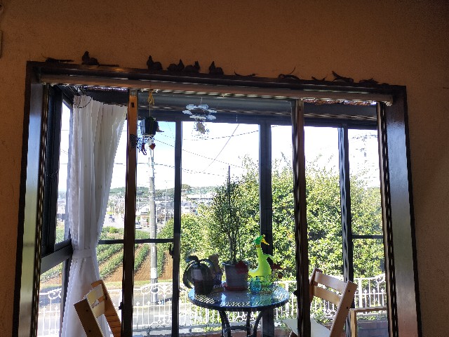 f:id:outblue69:20231014104115j:image f:id:outblue69:20231014104115j:image