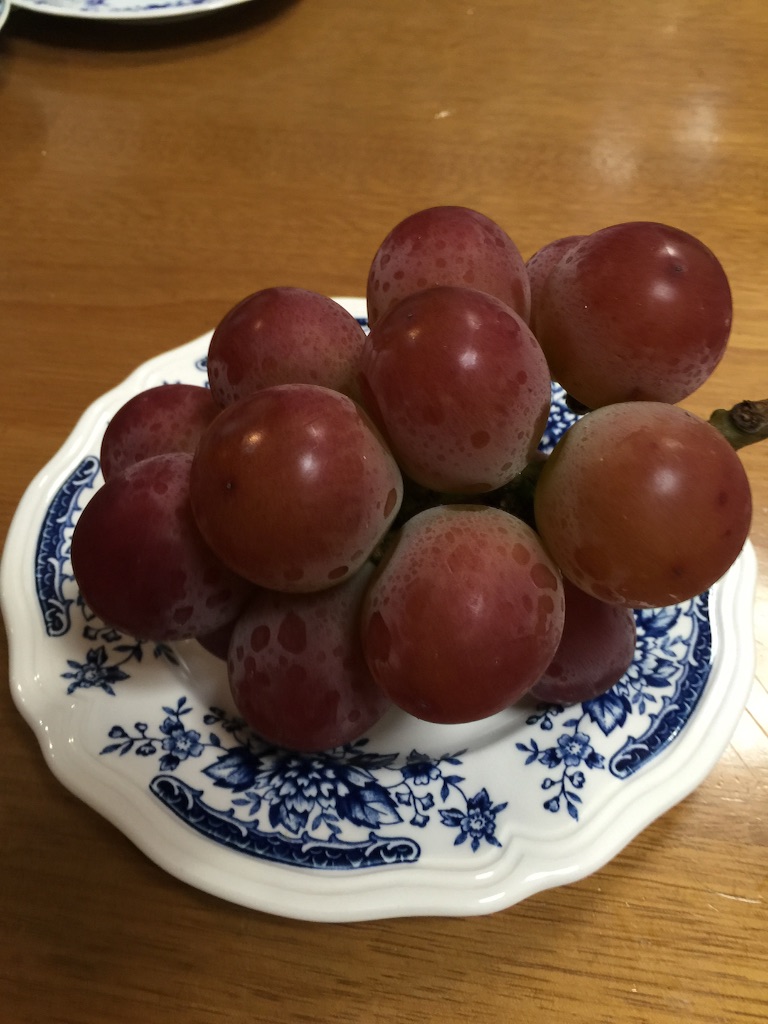 f:id:outdoor-kanazawa:20150813234425j:image f:id:outdoor-kanazawa:20150813234425j:image