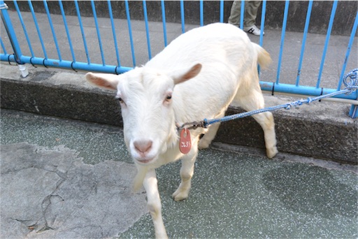 f:id:outdoor-kanazawa:20151025153209j:image f:id:outdoor-kanazawa:20151025153209j:image