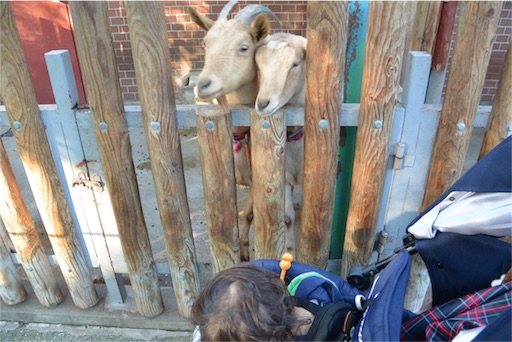 f:id:outdoor-kanazawa:20151025153400j:image f:id:outdoor-kanazawa:20151025153400j:image