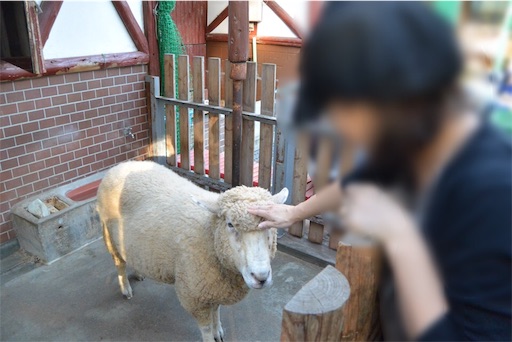 f:id:outdoor-kanazawa:20151025173532j:image f:id:outdoor-kanazawa:20151025173532j:image